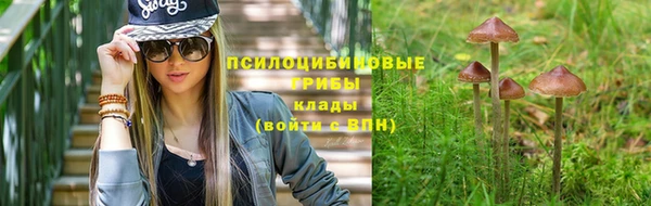 бутират Верхний Тагил