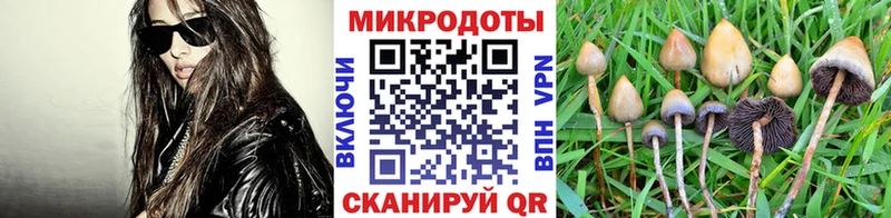 Галлюциногенные грибы Psilocybine cubensis  Оханск 